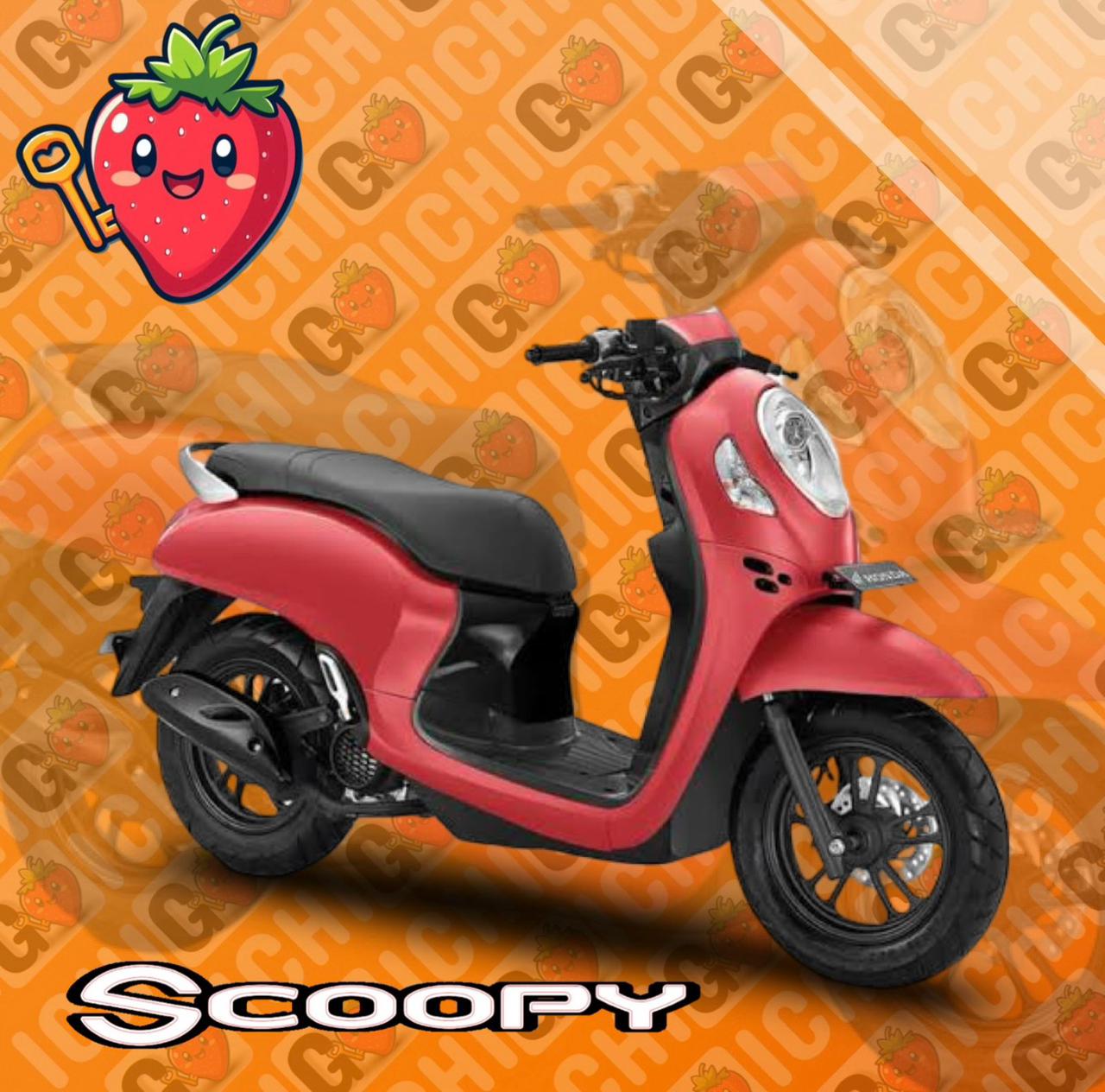 Honda Scoopy
